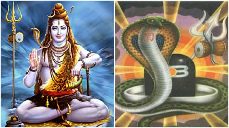 15 अगस्त को मनाई जाएगी नागपंचमी,चढ़ेंगे नाग देवता को दूध लावा