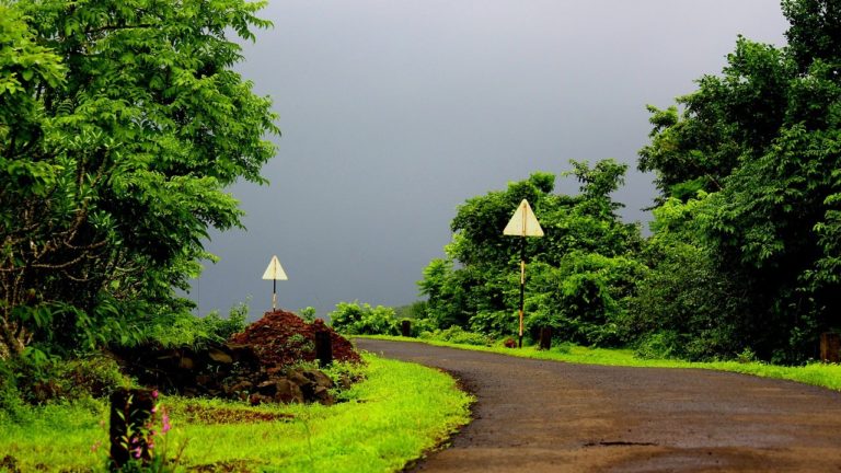 1 जून को केरल में दस्तक दे सकता है मानसून, देश में सामान्य बारिश की संभावना