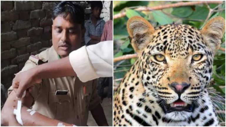 Uttar Pradesh : बहराइच में तेंदुए ने मचाया आतंक, दारोगा सहित 6 लोगों को किया घायल