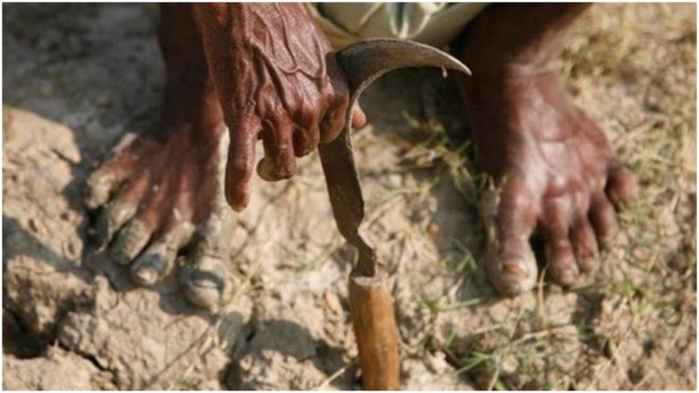 महाराष्ट्र: अमरावती मंडल में मार्च-मई के दौरान 206 किसानों ने की आत्महत्या