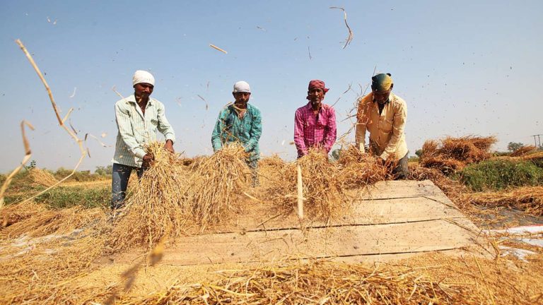 कोरोनावायरस महामारी बना किसानों के लिए मुसीबत, बढ़ सकती है भुखमरी
