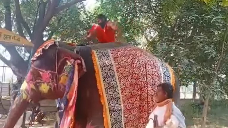 Watch : हाथी से गिरे बाबा रामदेव, संतों को सिखा रहे थे योग